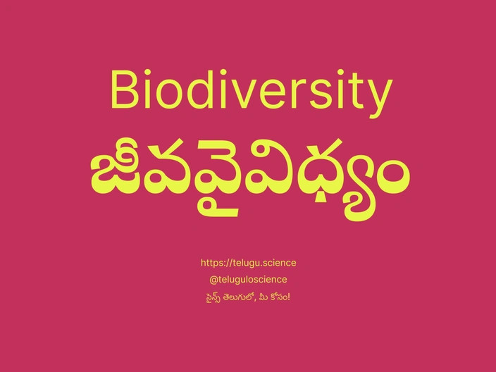 జీవవైవిధ్యం గురించి వివరణ | Biodiversity