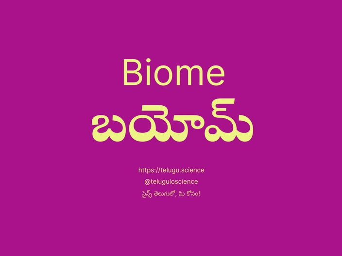 బయోమ్ గురించి వివరణ | Biome