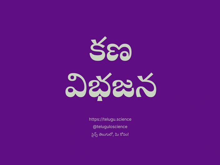 కణ విభజన గురించి వివరణ | Cell division