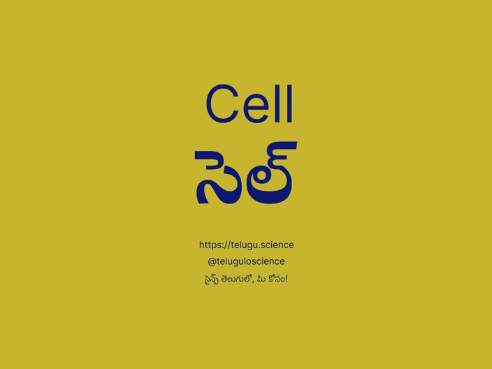 సెల్ గురించి వివరణ | Cell