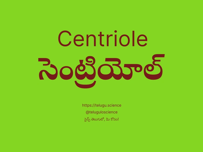 సెంట్రియోల్ గురించి వివరణ | Centriole