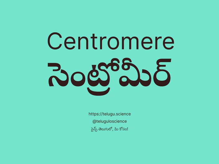 సెంట్రోమీర్ గురించి వివరణ | Centromere