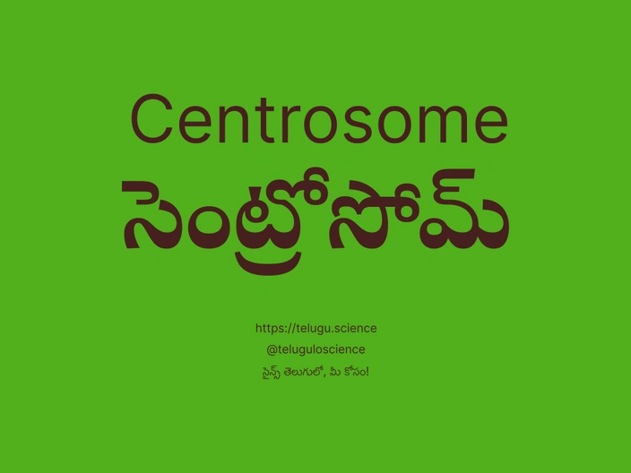 సెంట్రోసోమ్ గురించి వివరణ | Centrosome