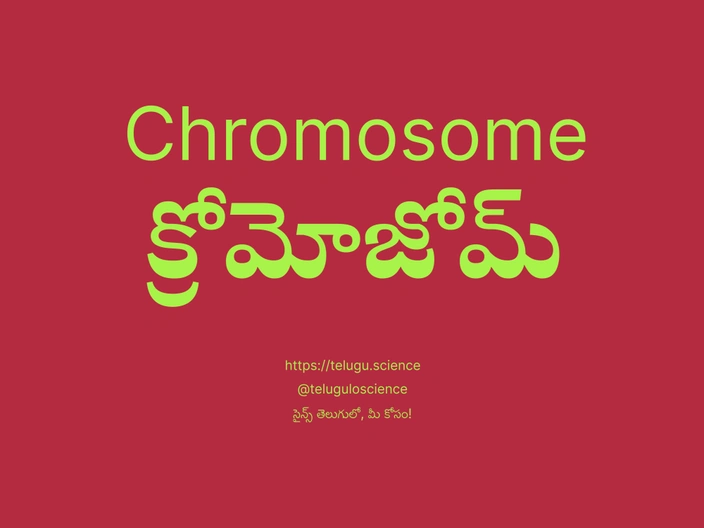 క్రోమోజోమ్ గురించి వివరణ | Chromosome