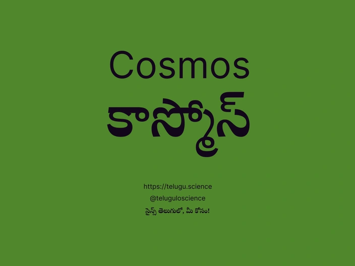 కాస్మోస్ గురించి వివరణ | Cosmos