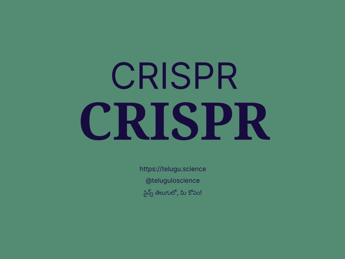 CRISPR గురించి వివరణ | CRISPR