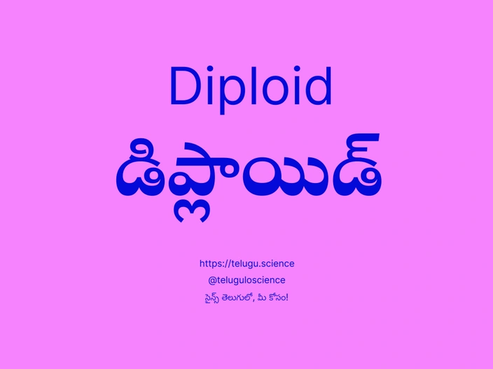 డిప్లాయిడ్ గురించి వివరణ | Diploid