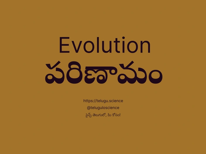 పరిణామం గురించి వివరణ | Evolution