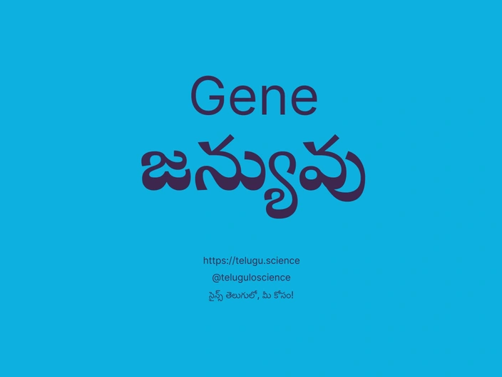 జన్యువు గురించి వివరణ | Gene