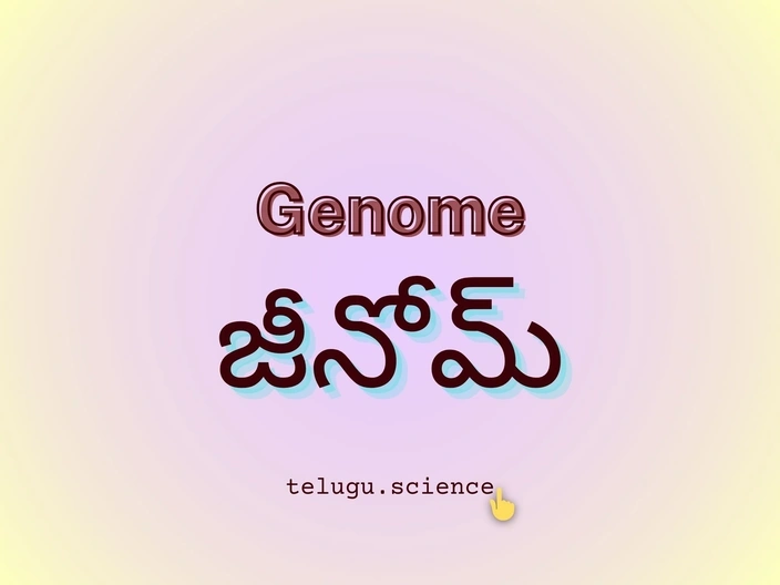 జీనోమ్ గురించి వివరణ తెలుగులో | Genome