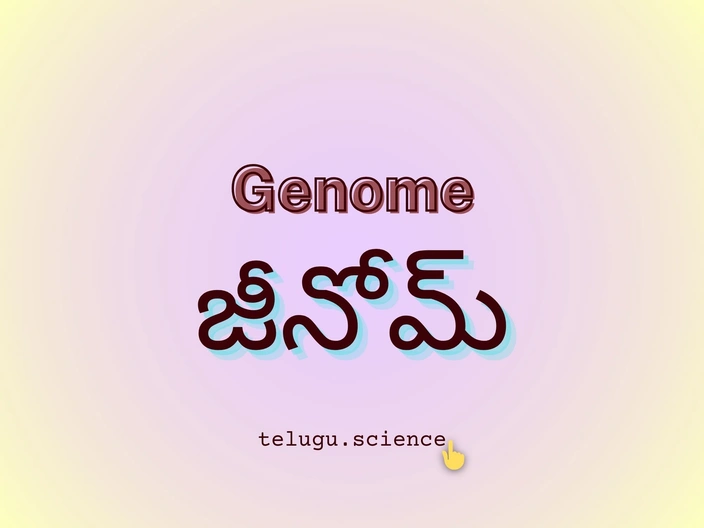 జీనోమ్ (genome)