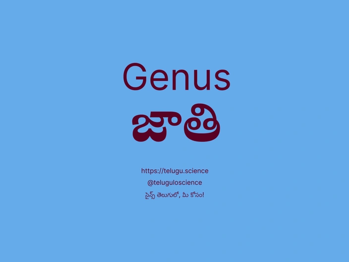 జాతి గురించి వివరణ | Genus