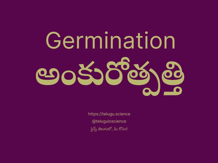 అంకురోత్పత్తి గురించి వివరణ | Germination
