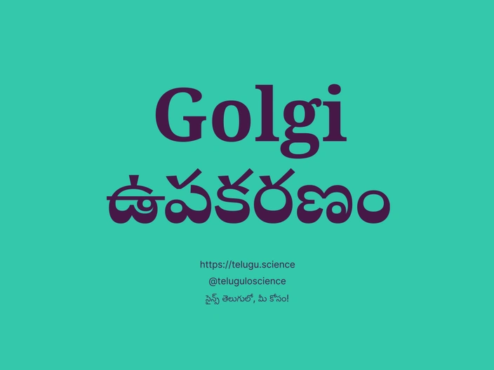 Golgi ఉపకరణం గురించి వివరణ | Golgi Apparatus