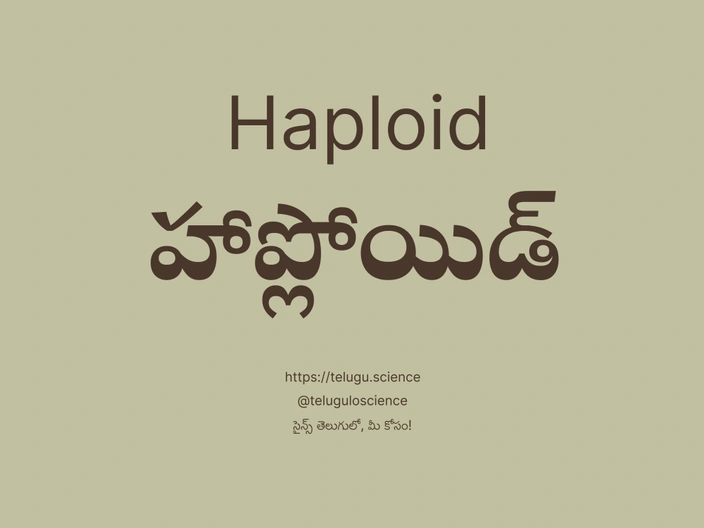 హాప్లోయిడ్ గురించి వివరణ | Haploid