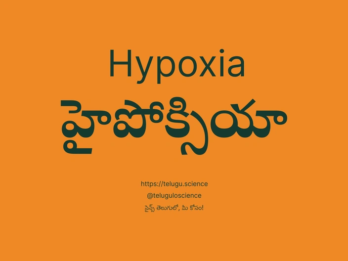 హైపోక్సియా గురించి వివరణ | Hypoxia