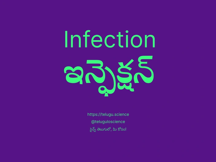 ఇన్ఫెక్షన్ గురించి వివరణ | Infection