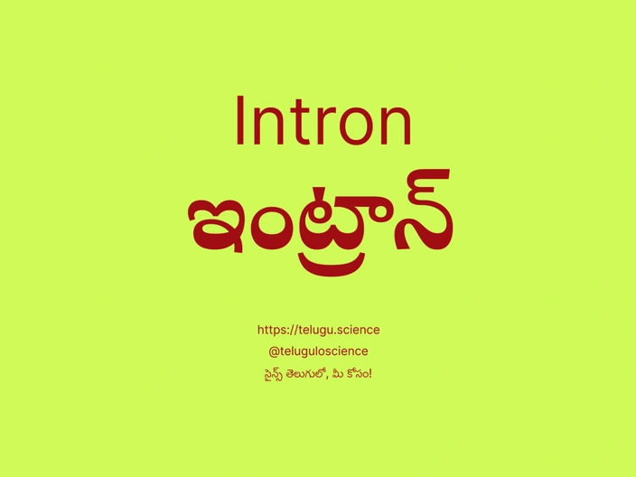 ఇంట్రాన్ గురించి వివరణ | Intron