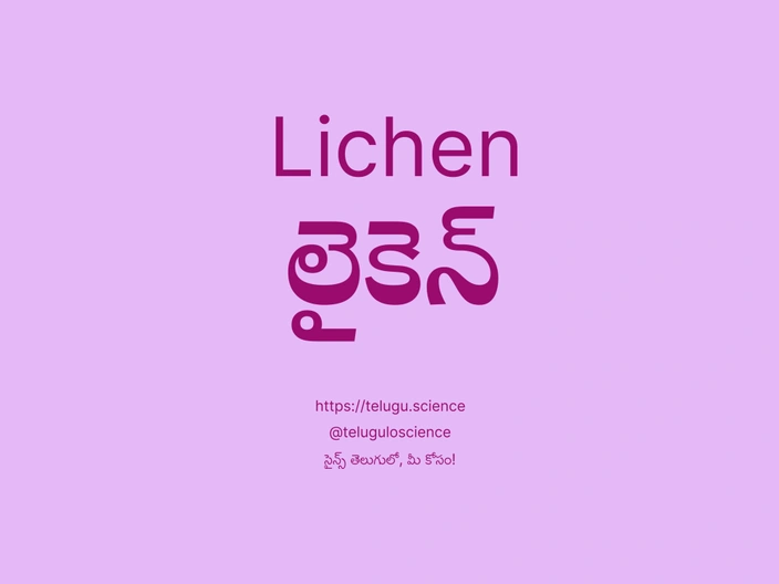 లైకెన్ గురించి వివరణ | Lichen