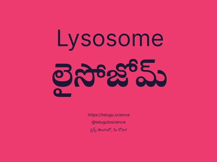 లైసోజోమ్ గురించి వివరణ | Lysosome