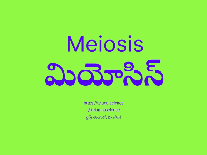 మియోసిస్ గురించి వివరణ | Meiosis