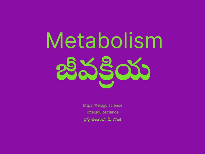 జీవక్రియ గురించి వివరణ | Metabolism