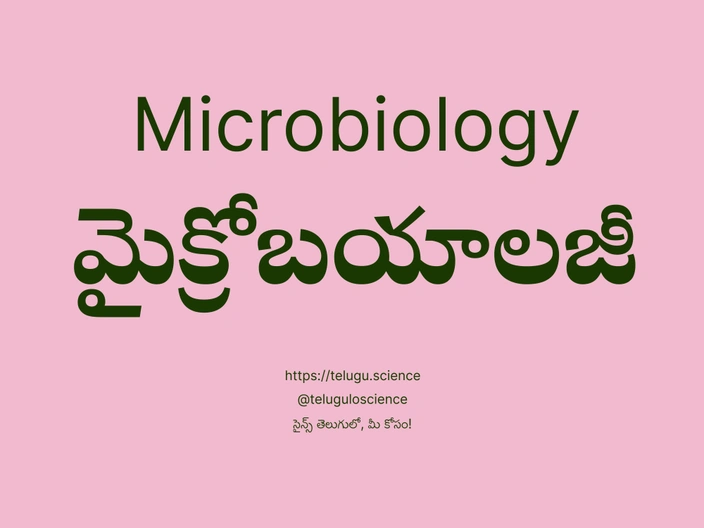 మైక్రోబయాలజీ గురించి వివరణ | Microbiology