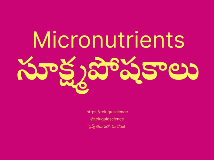 సూక్ష్మపోషకాలు గురించి వివరణ | Micronutrients