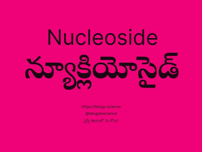 న్యూక్లియోసైడ్ గురించి వివరణ | Nucleoside