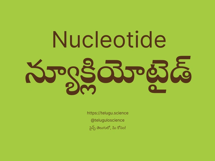 న్యూక్లియోటైడ్ గురించి వివరణ | Nucleotide