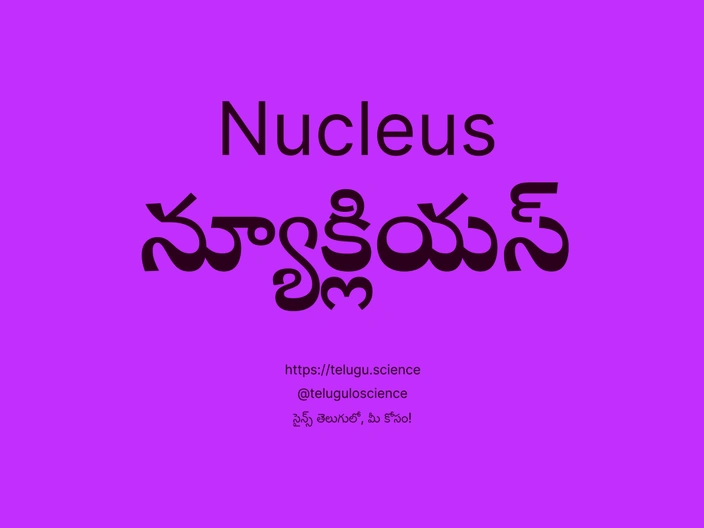 న్యూక్లియస్ గురించి వివరణ | Nucleus