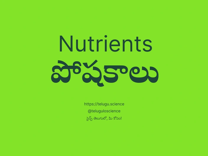 పోషకాలు గురించి వివరణ | Nutrients