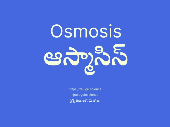 ఆస్మాసిస్ గురించి వివరణ | Osmosis