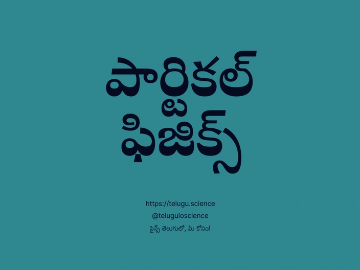 పార్టికల్ ఫిజిక్స్ గురించి వివరణ | Particle Physics