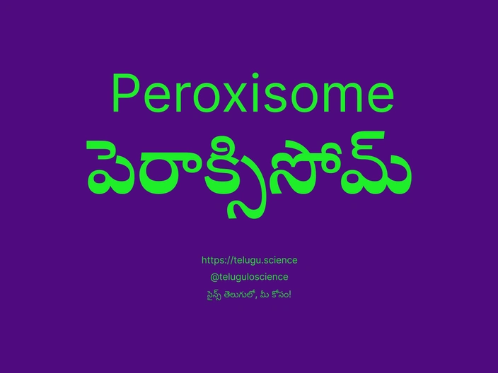 పెరాక్సిసోమ్ గురించి వివరణ | Peroxisome