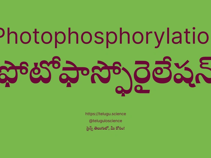 ఫోటోఫాస్ఫోరైలేషన్ గురించి వివరణ | Photophosphorylation