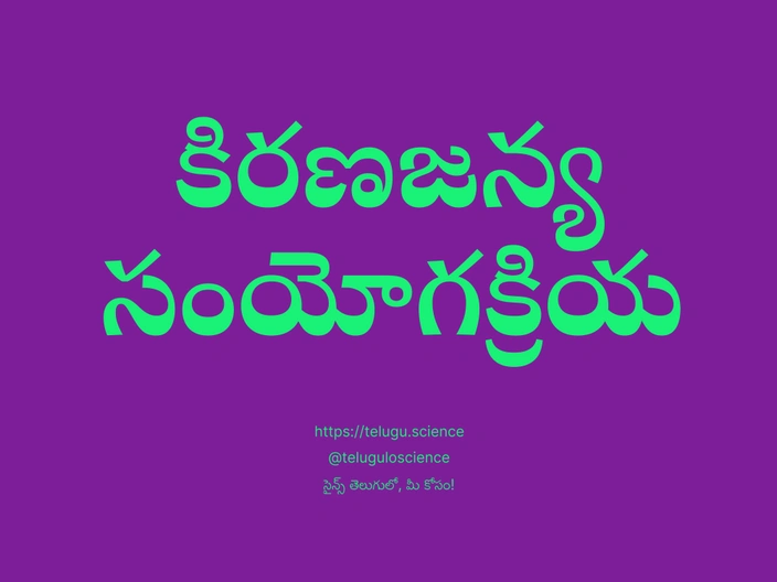 కిరణజన్య సంయోగక్రియ గురించి వివరణ | Photosynthesis