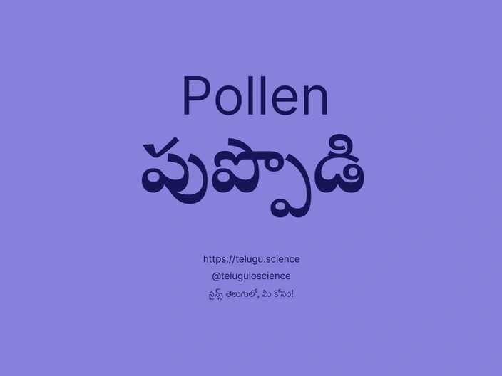 పుప్పొడి గురించి వివరణ | Pollen
