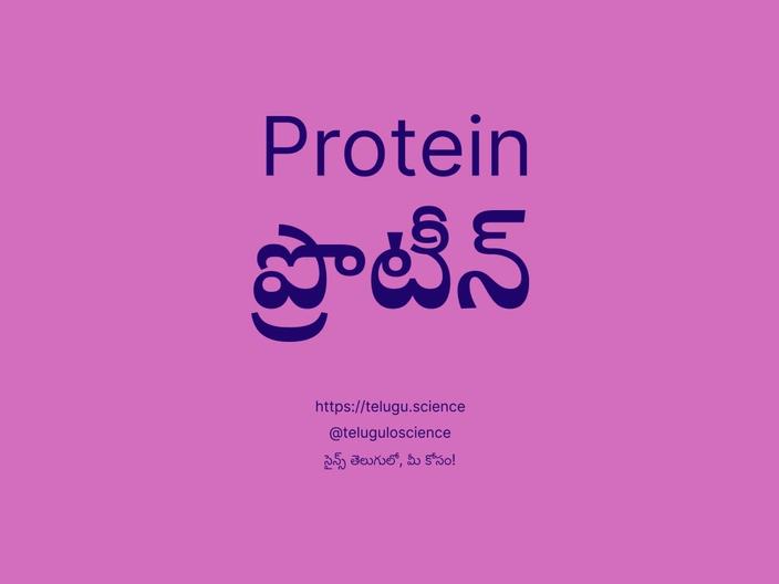 ప్రొటీన్ గురించి వివరణ | Protein