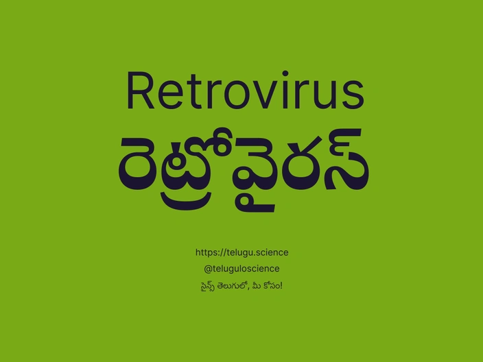 రెట్రోవైరస్ గురించి వివరణ | Retrovirus