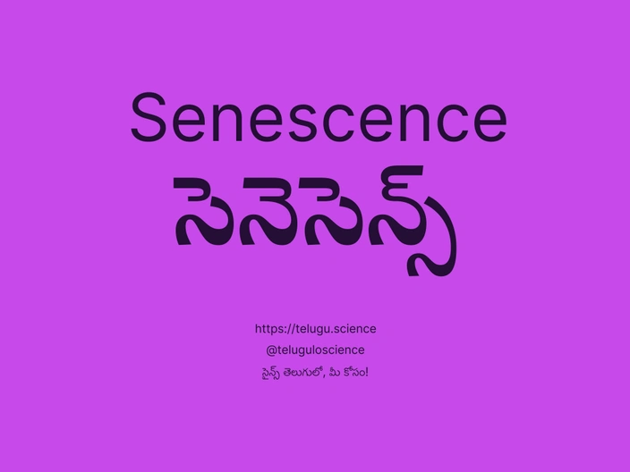 సెనెసెన్స్ గురించి వివరణ | Senescence