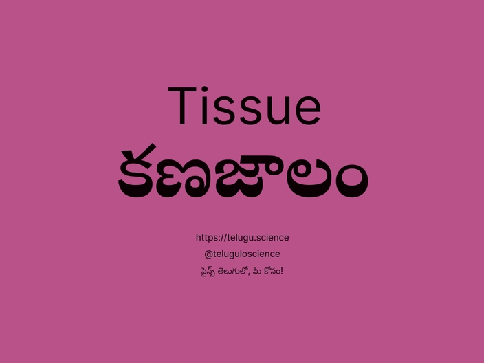 కణజాలం గురించి వివరణ | Tissue