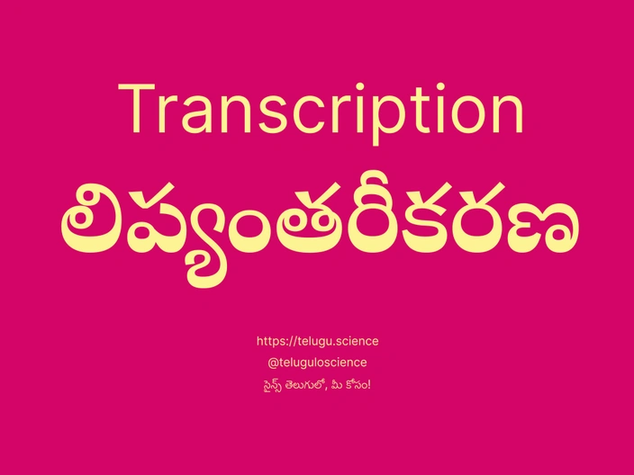 లిప్యంతరీకరణ గురించి వివరణ | Transcription