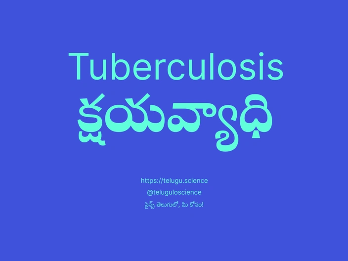 క్షయవ్యాధి గురించి వివరణ | Tuberculosis