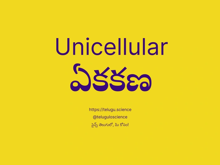 ఏకకణ గురించి వివరణ | Unicellular