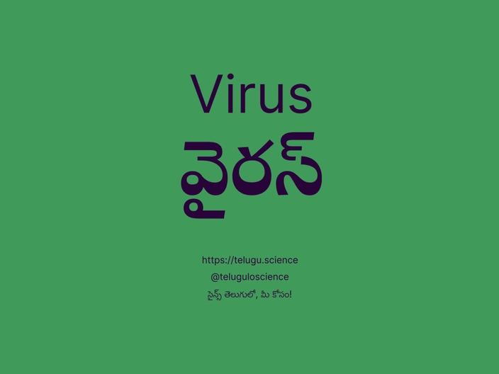 వైరస్ గురించి వివరణ | Virus